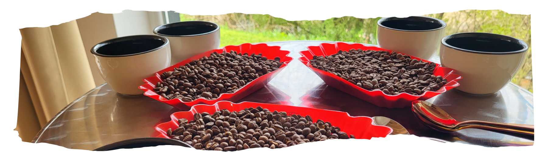Cupping Coffee Moravský Krumlov